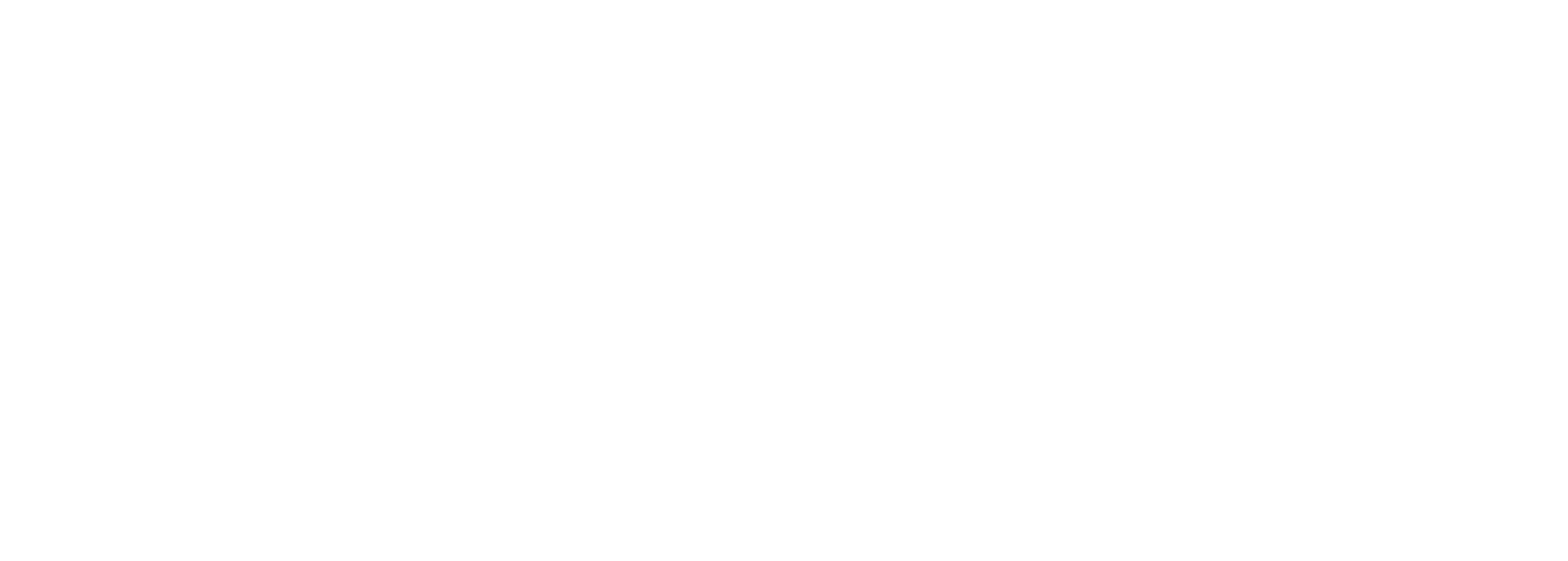 Nevron_Logo_wide_inverted